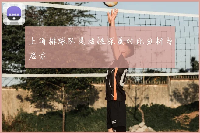 上海排球队灵活性深度对比分析与启示