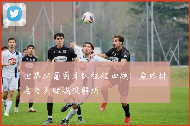 世界杯葡萄牙队征程回顾:最终排名与关键战役解析