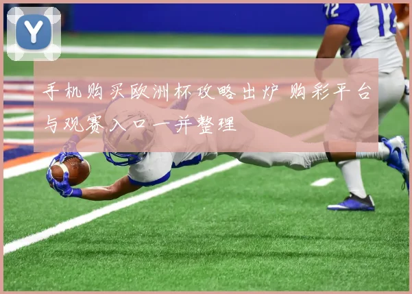 手机购买欧洲杯攻略出炉 购彩平台与观赛入口一并整理