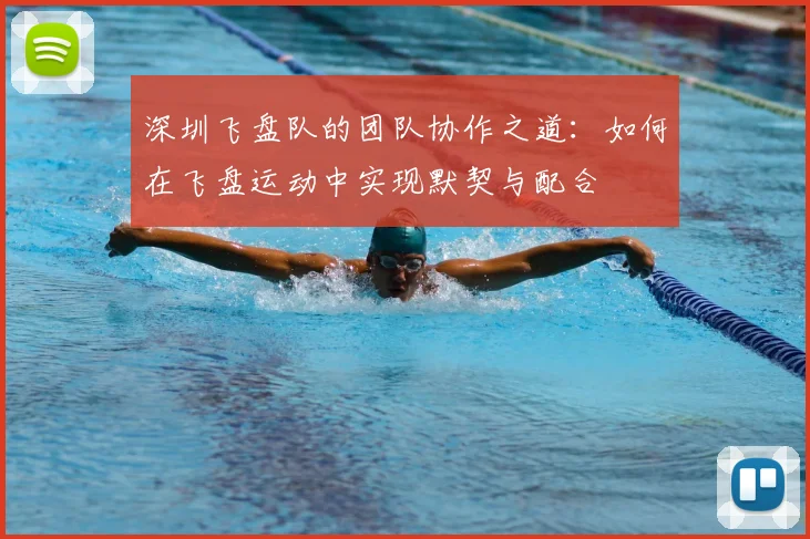 深圳飞盘队的团队协作之道:如何在飞盘运动中实现默契与配合