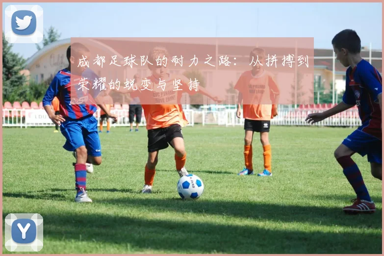 成都足球队的耐力之路：从拼搏到荣耀的蜕变与坚持
