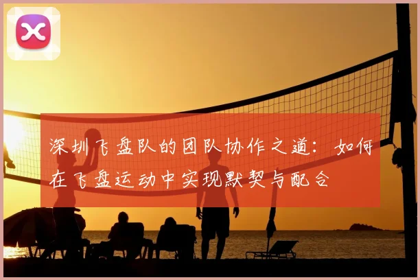深圳飞盘队的团队协作之道:如何在飞盘运动中实现默契与配合