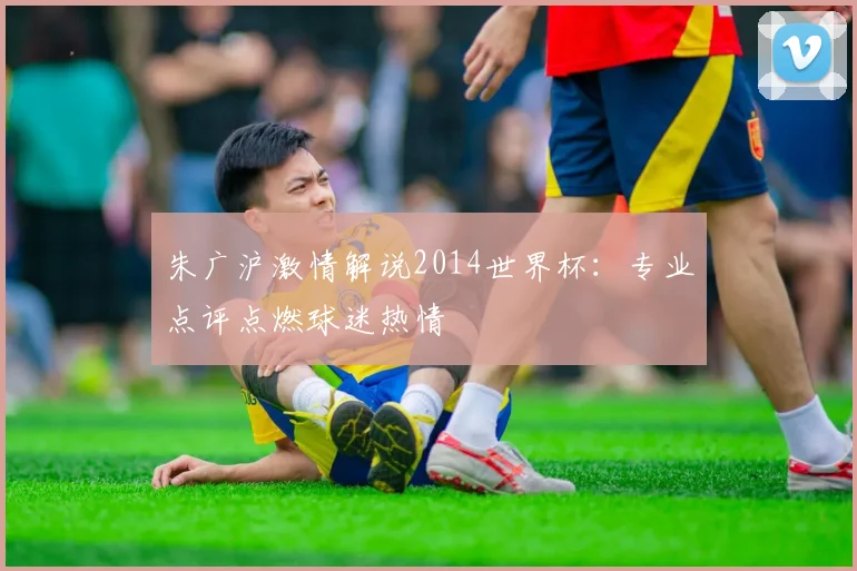 朱广沪激情解说2014世界杯:专业点评点燃球迷热情