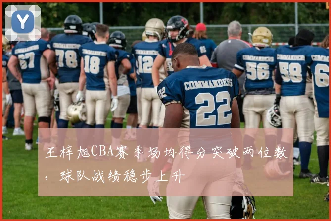 王梓旭CBA赛季场均得分突破两位数,球队战绩稳步上升