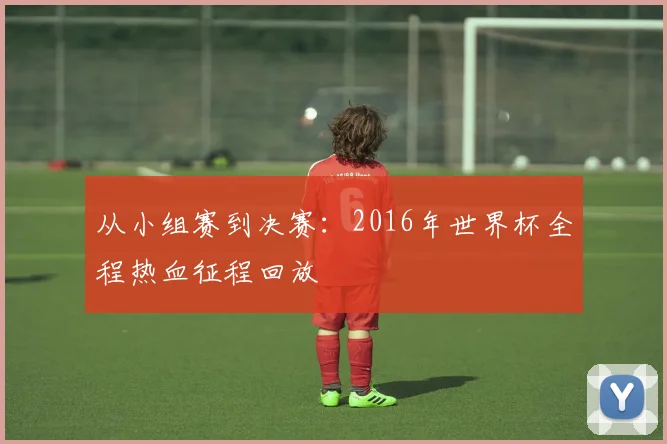 从小组赛到决赛:2016年世界杯全程热血征程回放