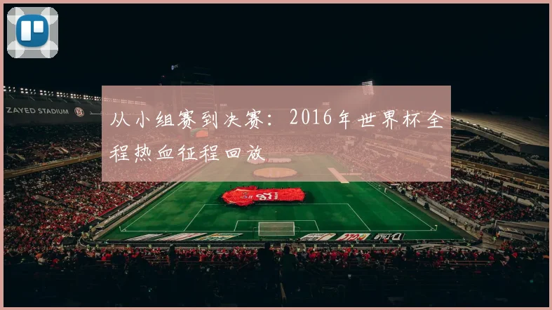 从小组赛到决赛:2016年世界杯全程热血征程回放